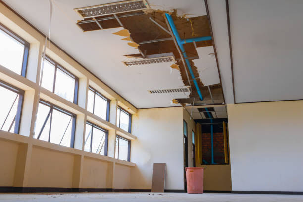 Best Flooded house restoration  in Independence, WI