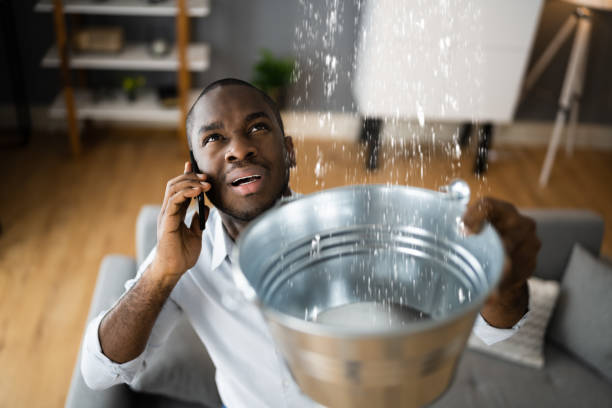 Best Water damage restoration services  in Independence, WI