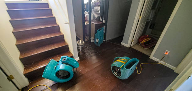 Best Water damage restoration near me  in Independence, WI