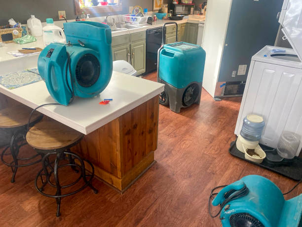 Best Water damage restoration services  in Independence, WI