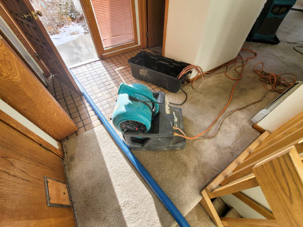 Best 24/7 water damage repair  in Independence, WI