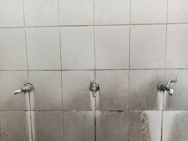 Best Basement water damage restoration  in Independence, WI