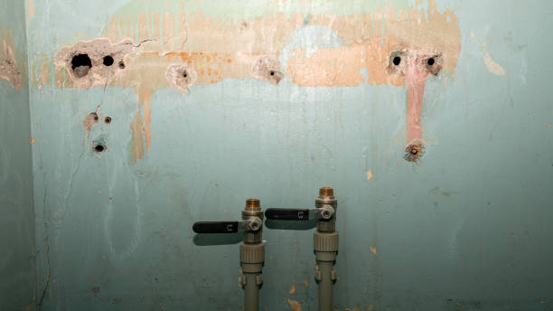 Best Water damage restoration mold remediation  in Independence, WI