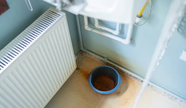 Best Sewage cleanup and water damage restoration  in Independence, WI