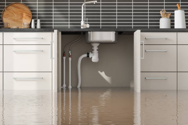 Reliable WI Water damage restoration Solutions