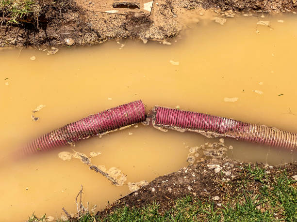 Best Flood restoration services  in Independence, WI