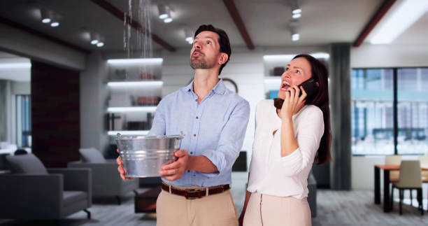 Best Emergency water extraction  in Independence, WI