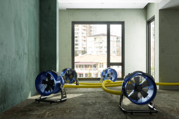 Reliable WI Water damage restoration Solutions